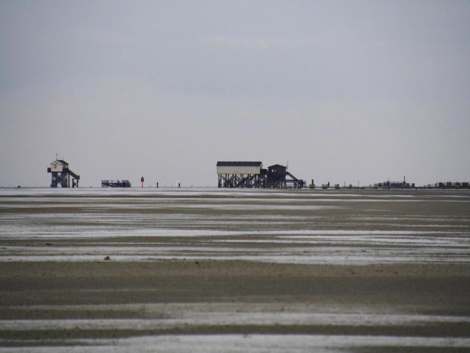 Ferienwohnung, St Peter - Ording Sankt Peter-Ording Eksteriør billede